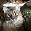 Thumbnail photo of Kiki #4