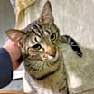 Thumbnail photo of Gravy #4