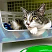 Thumbnail photo of Luna Lu #1