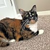 Thumbnail photo of Gracie #1