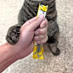 Thumbnail photo of Beebz #1