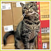 Thumbnail photo of Beebz #4