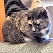 Thumbnail photo of Bobby Sue #2
