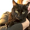 Thumbnail photo of Maya #2