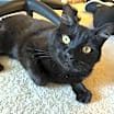 Thumbnail photo of Maya #3