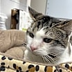 Thumbnail photo of Buddy #3