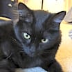 Thumbnail photo of Maya #4