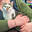 Thumbnail photo of Lucy #3