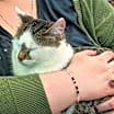 Thumbnail photo of Lucy #4