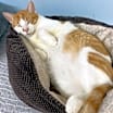 Thumbnail photo of Clyde #2
