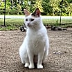 Thumbnail photo of Rosie #2