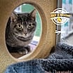 Thumbnail photo of Sophie #2