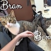 Thumbnail photo of Bran & Benny #3