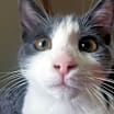 Thumbnail photo of Gloria #4