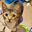 Thumbnail photo of Wilbur #2