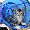 Thumbnail photo of Wilbur #3