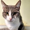 Thumbnail photo of Karma #1