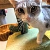 Thumbnail photo of Karma #2