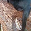 Thumbnail photo of Eddie #1