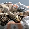 Thumbnail photo of Gertie #2