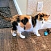 Thumbnail photo of NALA #1