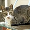 Thumbnail photo of Hudson #4