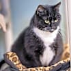Thumbnail photo of Gigi Bonnie #2