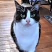 Thumbnail photo of Ariel #1