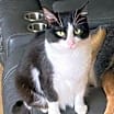 Thumbnail photo of Ariel #2