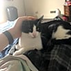 Thumbnail photo of Ariel #3