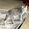 Thumbnail photo of River #3
