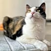 Thumbnail photo of Frannie #1