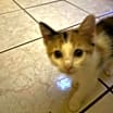 Thumbnail photo of Mimi #1