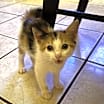 Thumbnail photo of Mimi #2