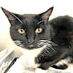 Thumbnail photo of CHIQUITA #2