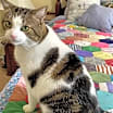 Thumbnail photo of BARRY #3