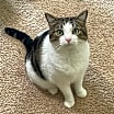Thumbnail photo of BARRY #4