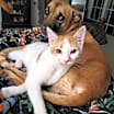 Thumbnail photo of Hansel #2