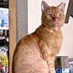 Thumbnail photo of Jeffery #1