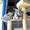 Thumbnail photo of Sprout #1