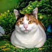 Thumbnail photo of Miss Lizzy #3