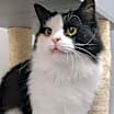 Thumbnail photo of Humphrey #1