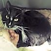 Thumbnail photo of Marble #2
