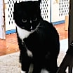 Thumbnail photo of Marble #3