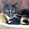 Thumbnail photo of Marble #4