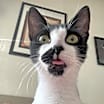 Thumbnail photo of Suki #2