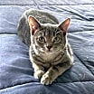 Thumbnail photo of Little Tiny Baby Princess #1