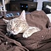 Thumbnail photo of Little Tiny Baby Princess #2