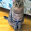 Thumbnail photo of Vera #1