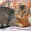 Thumbnail photo of Vera #2